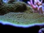 DSCN0199.jpg