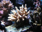 PICT0164.JPG