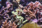 IMG_5734.JPG