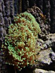 DSC00745.JPG