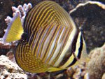 DSC00783.JPG