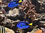 DSC00785.JPG