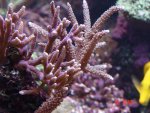 aqaurium 078.jpg