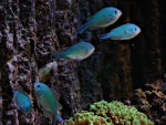 DSC00801.JPG