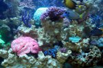 Afbeelding 003.jpg