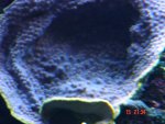 aqaurium 094.jpg