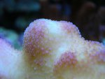 DSCN1044.jpg
