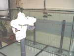 aqaurium 150.jpg