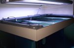zeeaquarium 006.jpg
