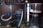 zeeaquarium 002.jpg