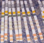 Teststrips.jpg