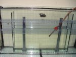aqaurium 152.jpg