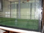 aqaurium 153.jpg