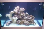 102_9732.jpg