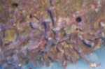 102_9744.jpg