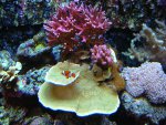 DSCN1062.jpg