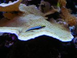 DSCN1073.jpg