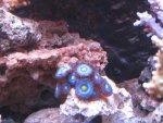 08079.jpg
