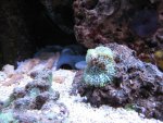 080711.jpg