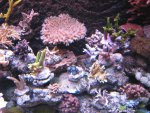 08078.jpg