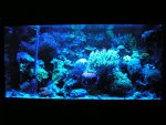 d.jpg