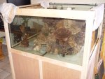 aqaurium 179.jpg