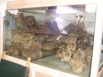aqaurium 178.jpg