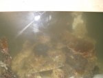 aqaurium 186.jpg