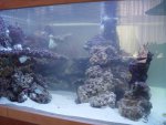 aqaurium 188.jpg