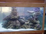 aqaurium 190.jpg