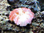 DSC00836.JPG