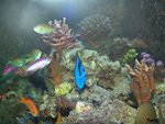 Afbeelding 052.jpg