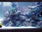 aqaurium 196.jpg