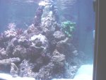 aqaurium 193.jpg