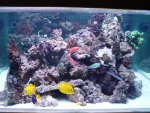 aqaurium 205.jpg