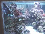 aqaurium 206.jpg