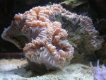 20070910-2.jpg