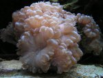 20070915-1.jpg
