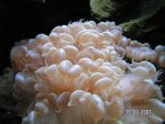 20070915-3.jpg