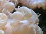 20070915-5.jpg