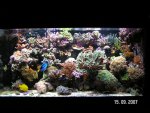 20070915 aquarium.jpg