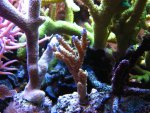 IMG_0650 (Small).JPG