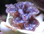 20070923-3-1.jpg