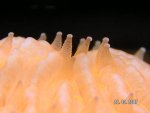 20070923-2.jpg