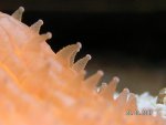 20070923-3.jpg