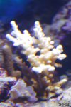 _mg_7175.jpg