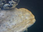 IMG_3566.JPG
