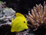 _MG_7211.JPG