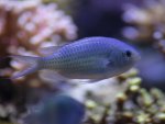 _MG_7280.JPG