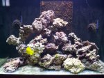 zeeaquarium 028.jpg